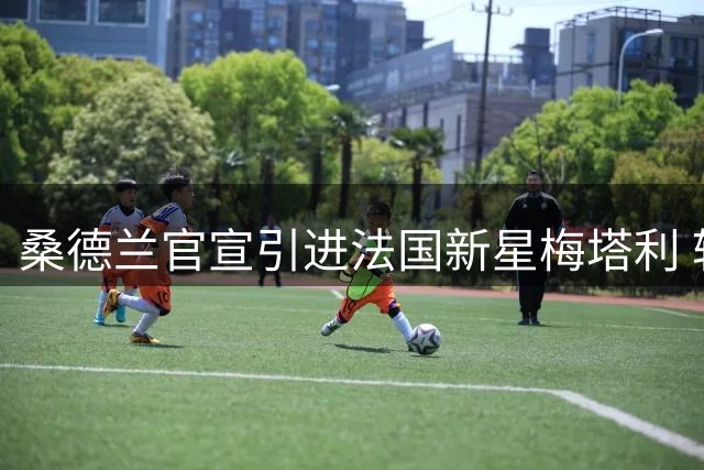 桑德兰官宣引进法国新星梅塔利 转会费达3000万欧元