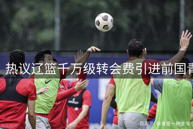 热议辽篮千万级转会费引进前国青队长：双向奔赴有望接班赵继伟