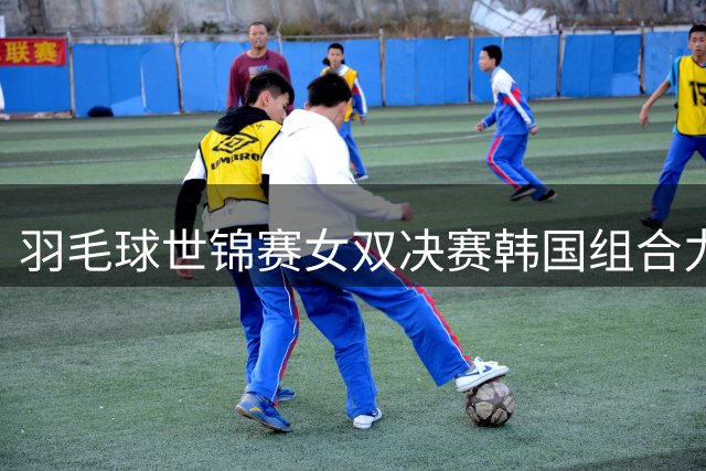 羽毛球世锦赛女双决赛韩国组合力克中国头号种子登顶